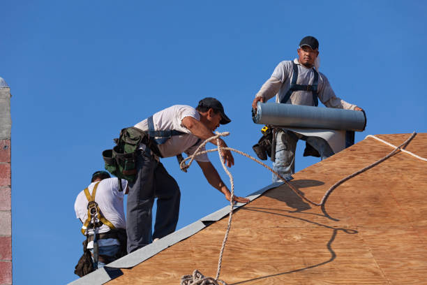 Best Storm Damage Roof Repair  in Ashville, AL