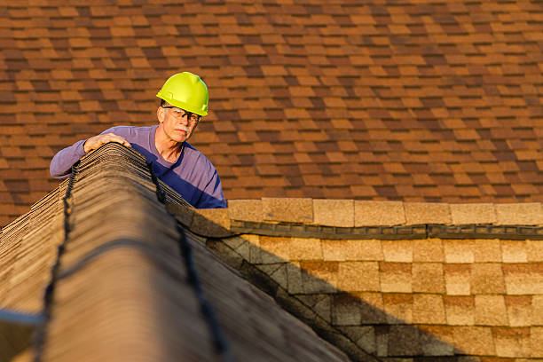 Best Roof Gutter Cleaning  in Ashville, AL