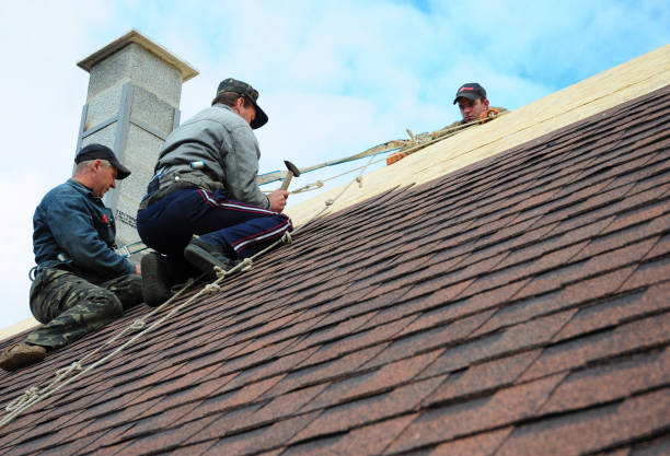 Professional Roofing Contractor in Ashville, AL